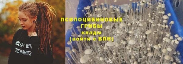 не бодяженный Абинск
